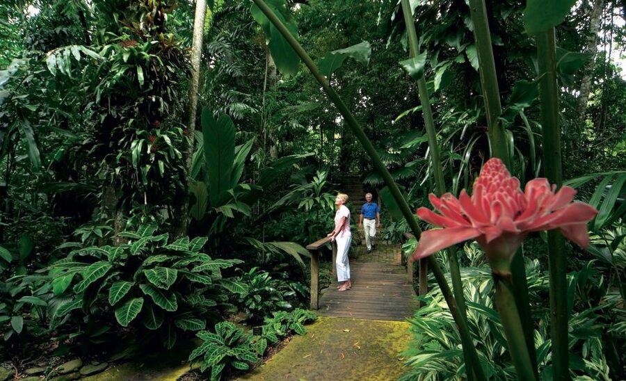 Cairns: Cairns City Sights & Surrounds Half Day Tour - The coach, timing, and hotel pickup
