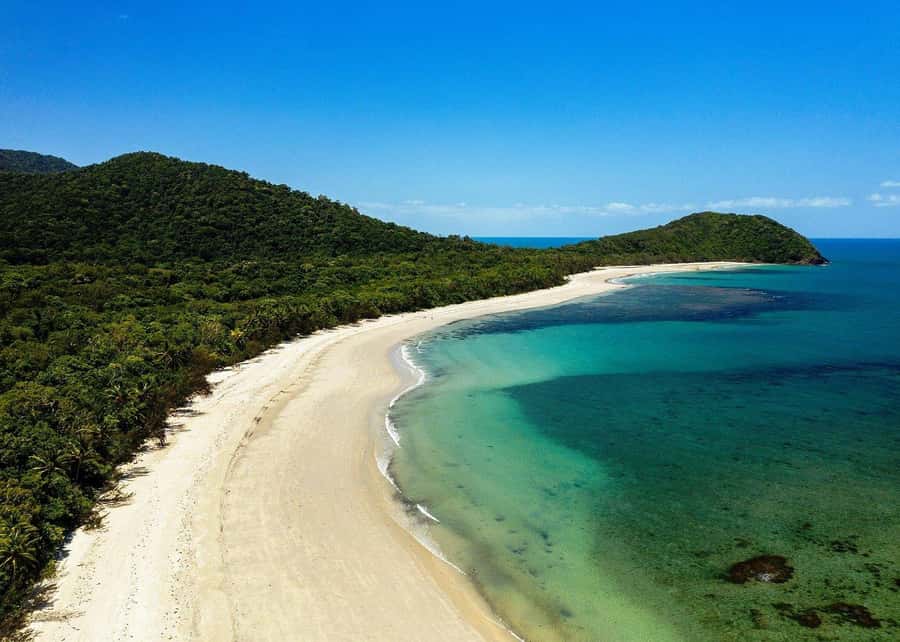 Cairns: Cape Tribulation, Beaches, Crocs & Swimming Day Tour - Why this tour works for a first visit to the Daintree