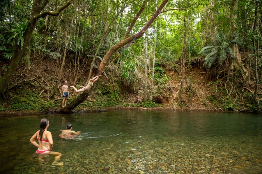 Cairns: Cape Tribulation, Beaches, Crocs & Swimming Day Tour - Crossing the Daintree River by ferry
