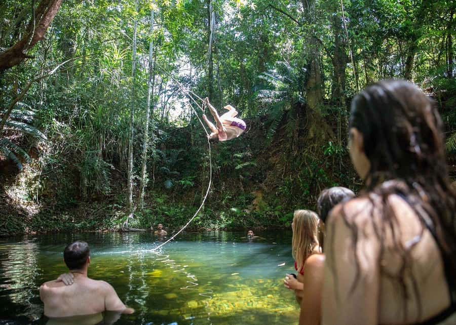 Cairns: Cape Tribulation, Beaches, Crocs & Swimming Day Tour - The rainforest walk and coastal views