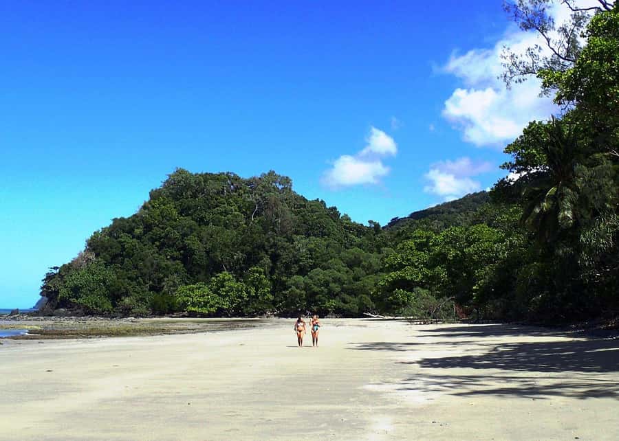 Cairns: Cape Tribulation, Beaches, Crocs & Swimming Day Tour - From Cairns to Port Douglas and the northern coast