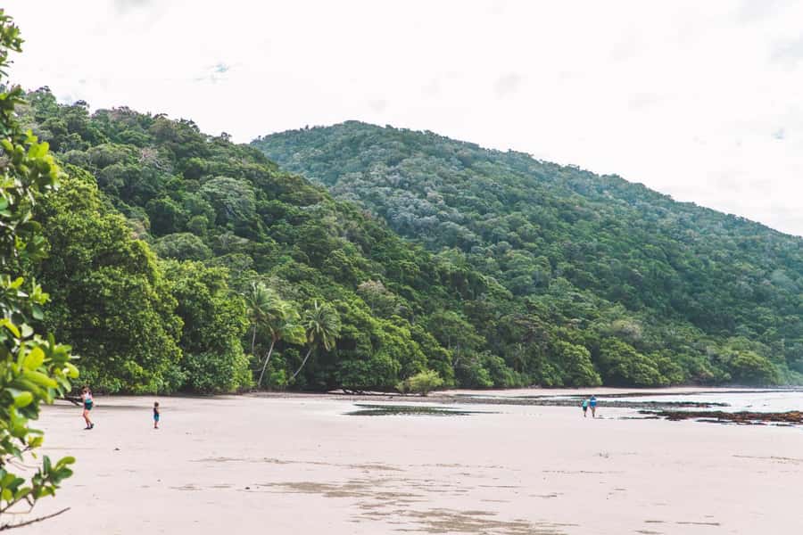 Cairns: Cape Tribulation & Daintree Rainforest Premium Tour - Mossman Gorge and the cool river