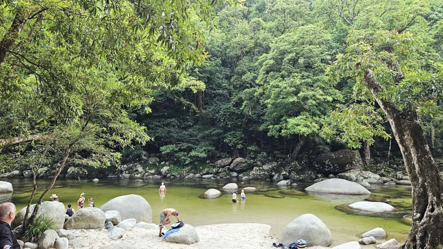Cairns: Cape Tribulation & Daintree Rainforest Premium Tour - Crocodiles on the Daintree River