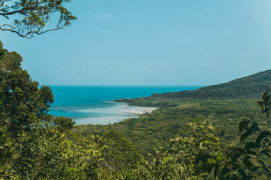 Cairns: Cape Tribulation & Daintree Rainforest Premium Tour - The coastal road to Port Douglas