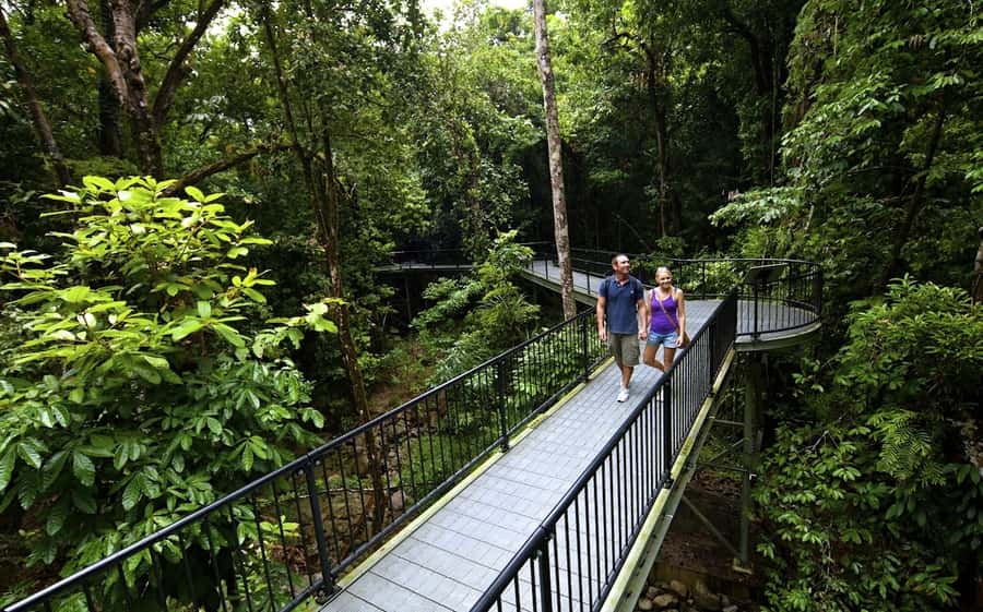 Cairns: Cape Tribulation, Mossman Gorge & Daintree Day Tour - Why this Daintree day trip works