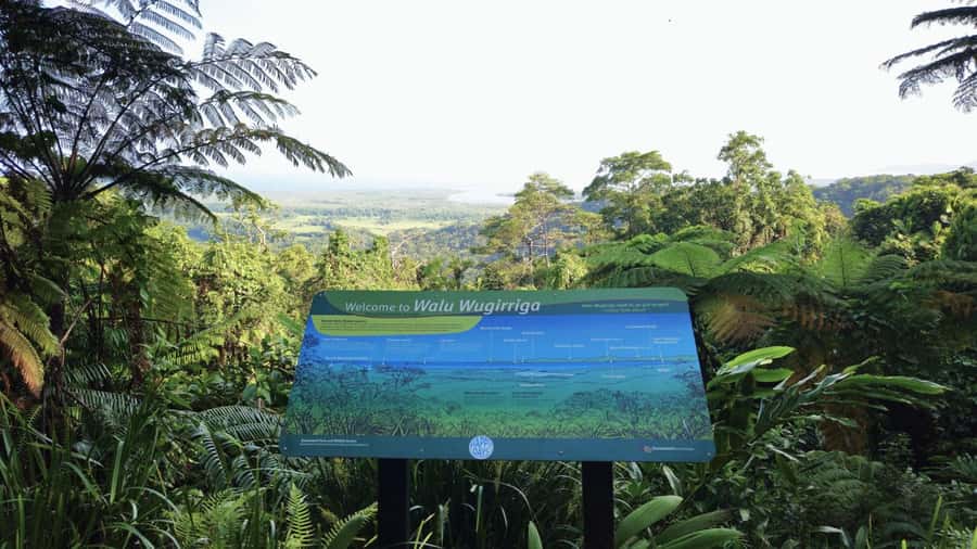Cairns: Cape Tribulation, Mossman Gorge & Daintree Day Tour - Morning tea and Mossman Gorge