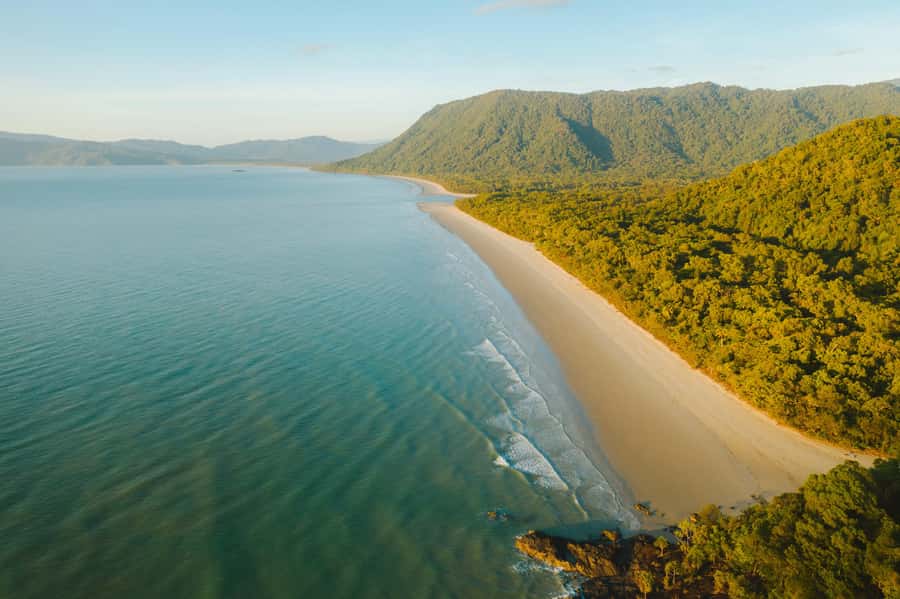 Cairns: Cape Tribulation, Mossman Gorge & Daintree Day Tour - The coastal road to Port Douglas
