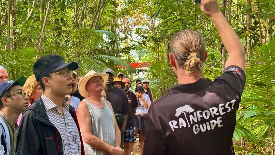 Cairns: Daintree Rainforest and Mossman Gorge Tour - Mossman Gorge and a Kuku Yalanji welcome