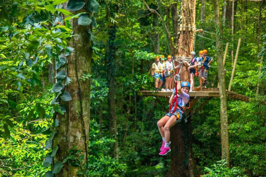 Cairns: Daintree Rainforest Canopy Ziplining Tour - The 360-Degree Platform and Rainforest Views