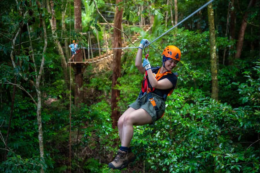 Cairns: Daintree Rainforest Canopy Ziplining Tour - A Short Walk Before the First Zipline