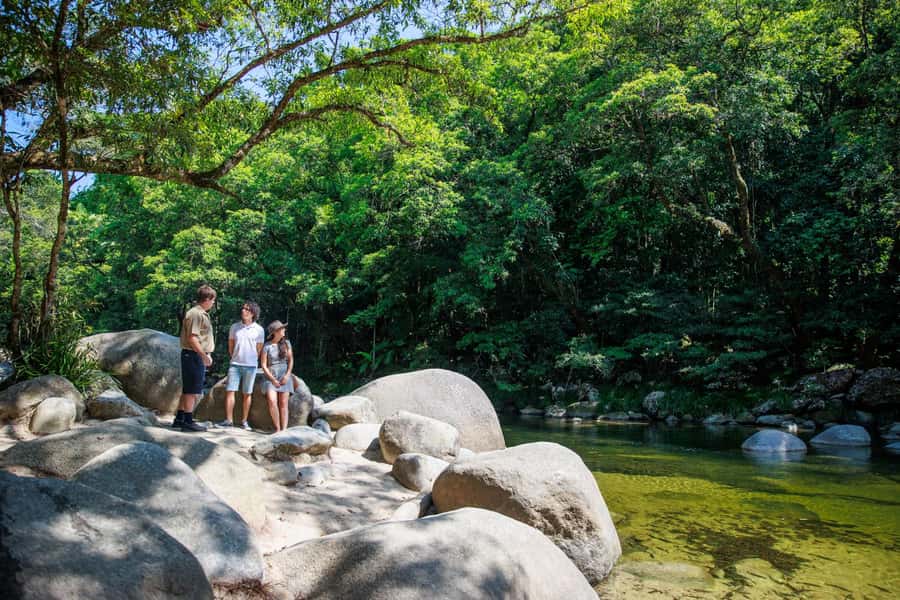 Cairns: Daintree Rainforest & Cape Tribulation Day Trip - Key points at a glance