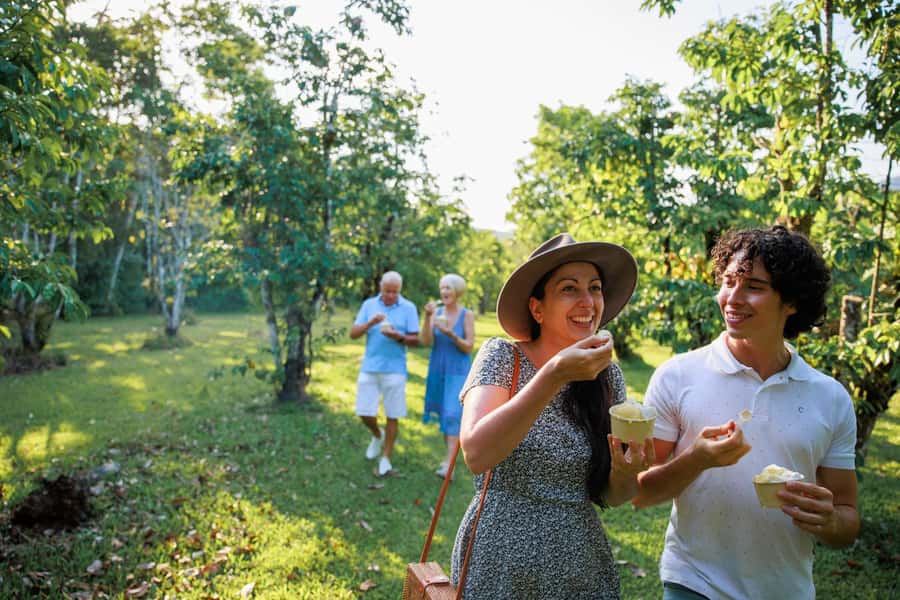 Cairns: Daintree Rainforest & Cape Tribulation Day Trip - Is $207 good value for a Daintree day?