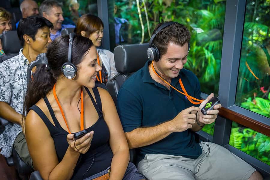 Cairns: Daintree Rainforest & Cape Tribulation Day Trip - The Daintree River cruise brings wildlife into focus