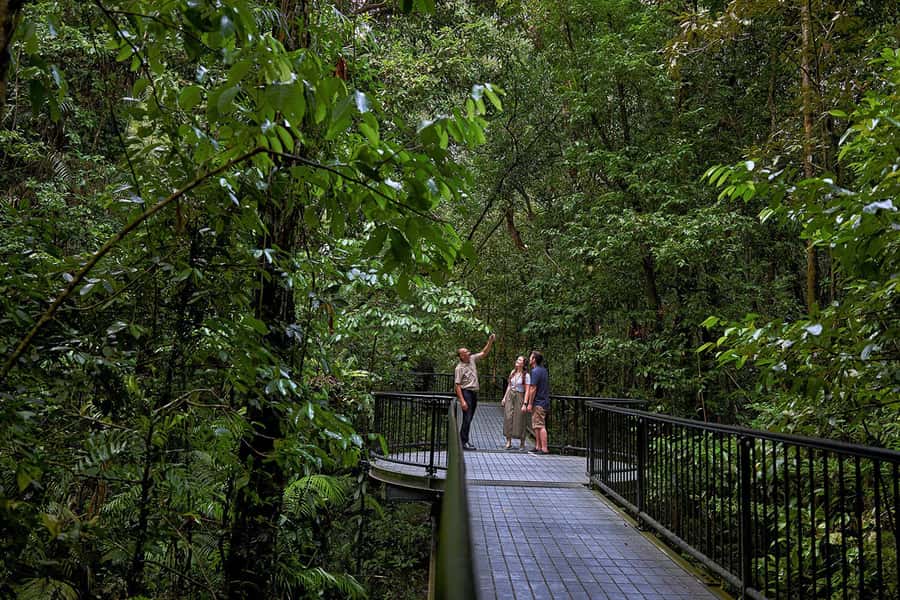 Cairns: Daintree Rainforest & Cape Tribulation Day Trip - Cape Tribulation Beach is scenic, wild, and not a swimming stop