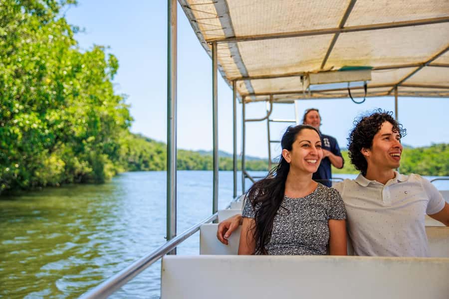 Cairns: Daintree Rainforest & Cape Tribulation Day Trip - The early pickup from Cairns sets the pace