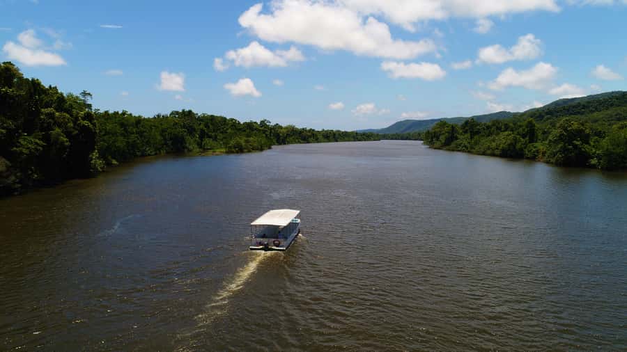 Cairns: Daintree Rainforest Wildlife Experience Cruise - Quick reasons to consider this Daintree cruise