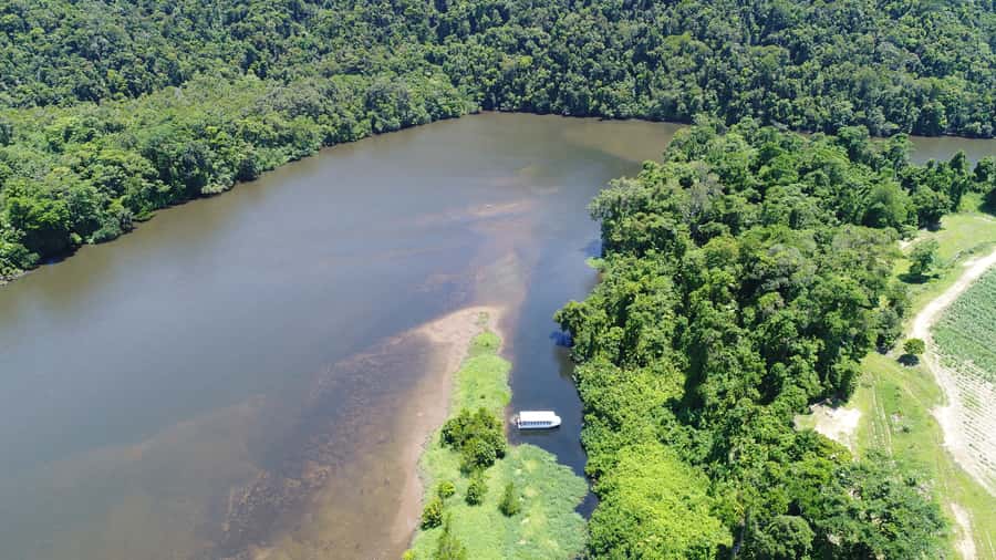Cairns: Daintree Rainforest Wildlife Experience Cruise - Why the crocodile search works