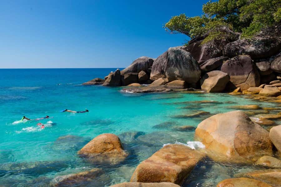 Cairns: Fitzroy Island Ferry with Optional Lunch & Activity - Key points to know before you book