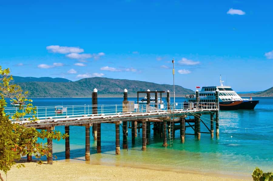 Cairns: Fitzroy Island Ferry with Optional Lunch & Activity - Is the $59 starting price good value?