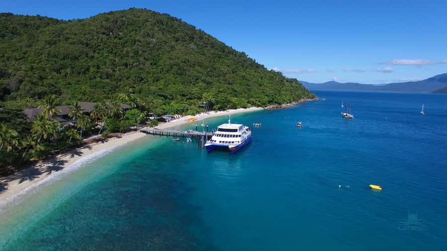 Cairns: Fitzroy Island Ferry with Optional Lunch & Activity - Who will enjoy this island day most?