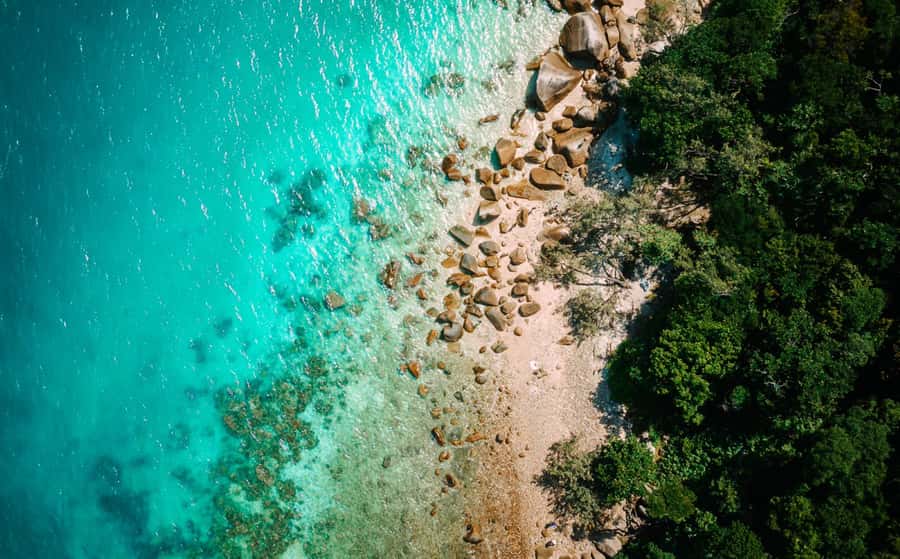 Cairns: Fitzroy Island Ferry with Optional Lunch & Activity - Getting from Cairns Marina to the island