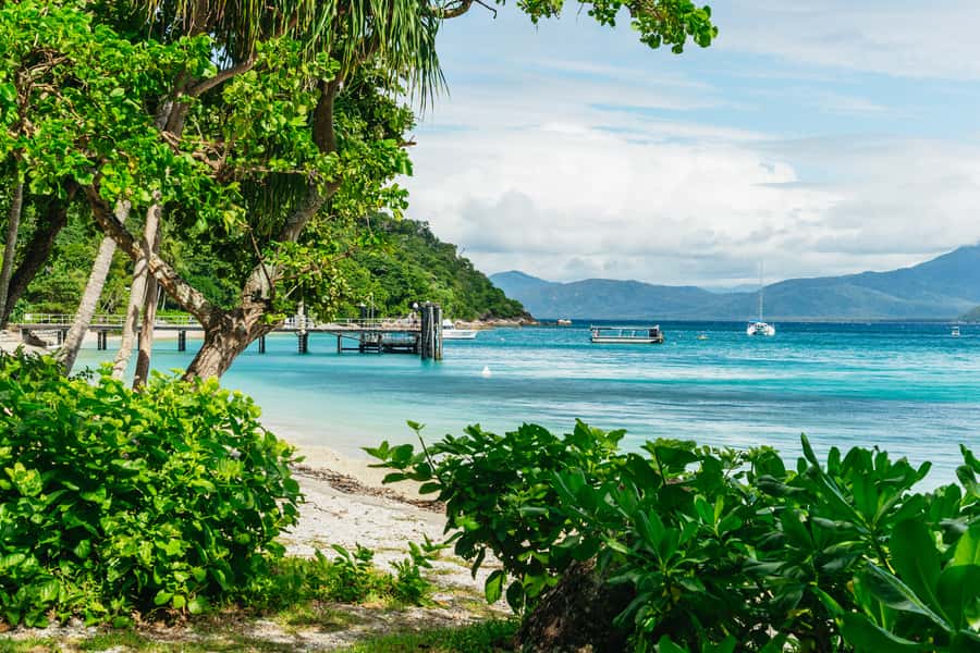 Cairns: Fitzroy Island Full-Day Trip with Optional Extras - Beaches, coral, and the best places to snorkel