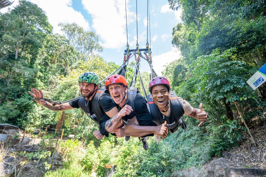 Cairns: Giant Swing - The Rainforest Setting Adds More Than Scenery