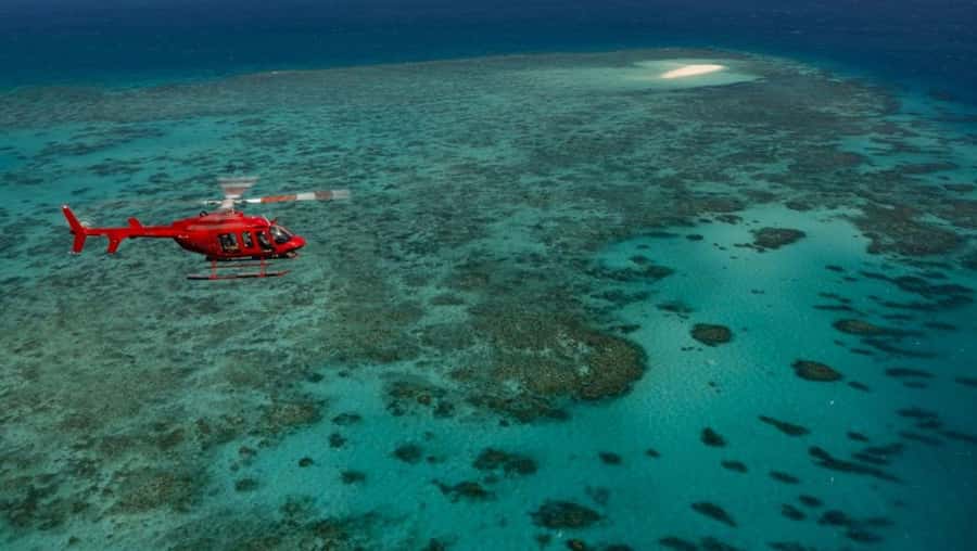 Cairns: Great Barrier Reef 30-Minute Helicopter Flight - Key points before you book
