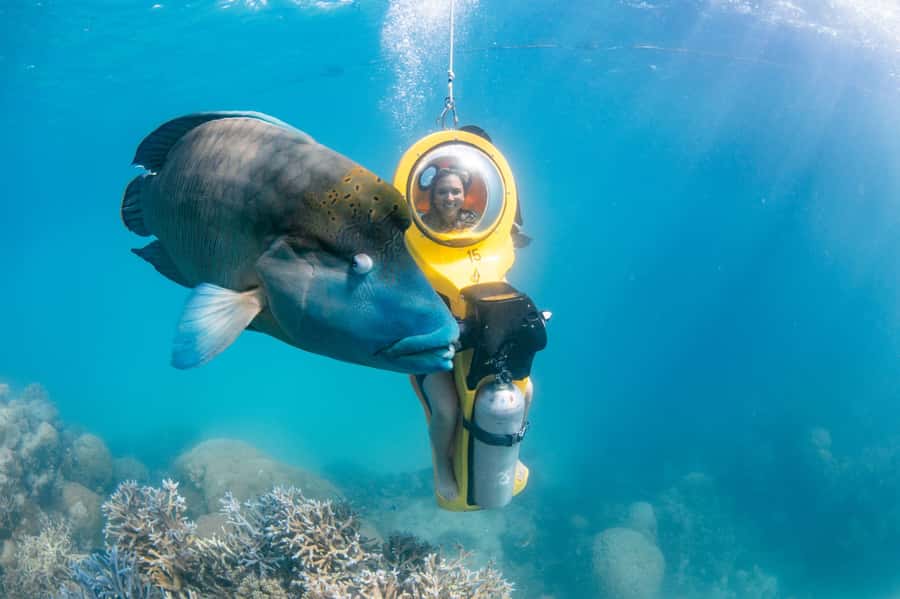 Cairns: Great Barrier Reef Cruise & 10 Minute Helicopter - The 10-minute helicopter flight