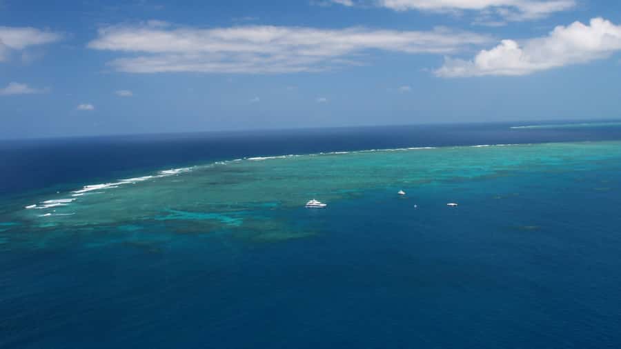 Cairns: Great Barrier Reef Cruise & Scenic Helicopter Flight - Who will enjoy this reef day most
