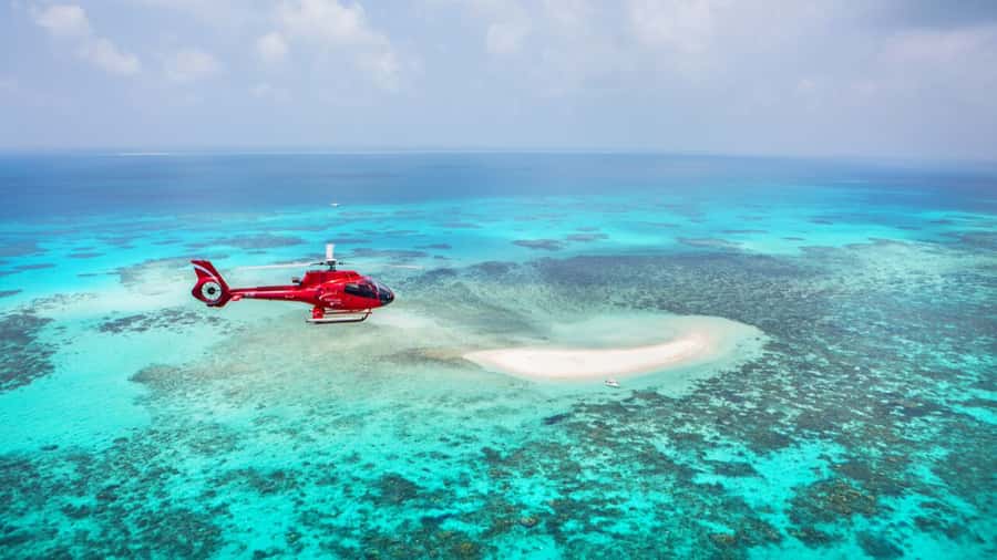 Cairns: Great Barrier Reef Cruise & Scenic Helicopter Flight - Hastings Reef and the best water time of the day