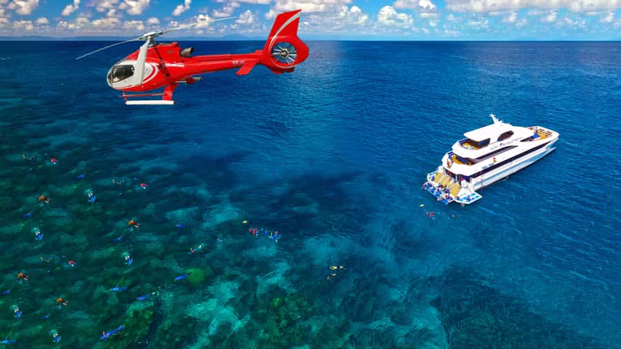 Cairns: Great Barrier Reef Cruise & Scenic Helicopter Flight - The ride home, wine, and a little breathing room