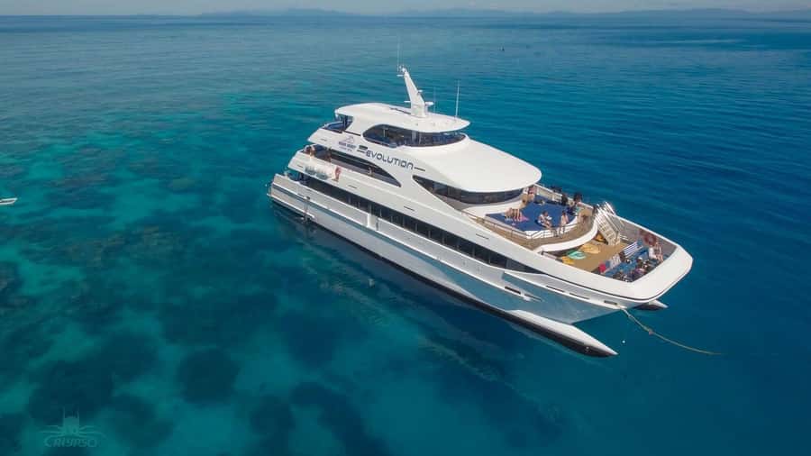 Cairns: Great Barrier Reef Cruise & Scenic Helicopter Flight - What the $279 price really gives you