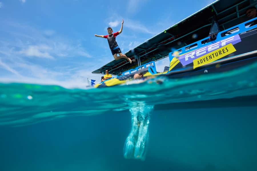 Cairns: Great Barrier Reef Half-Day Snorkelling Tour - Quick facts about this Cairns reef trip