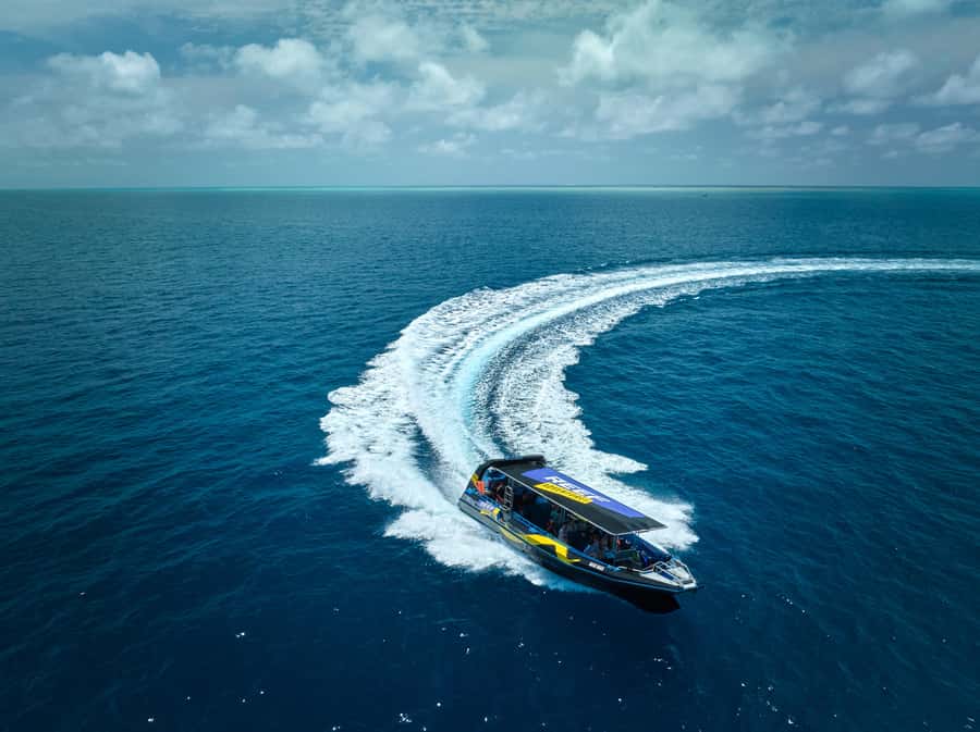 Cairns: Great Barrier Reef Half-Day Snorkelling Tour - Booking details worth knowing