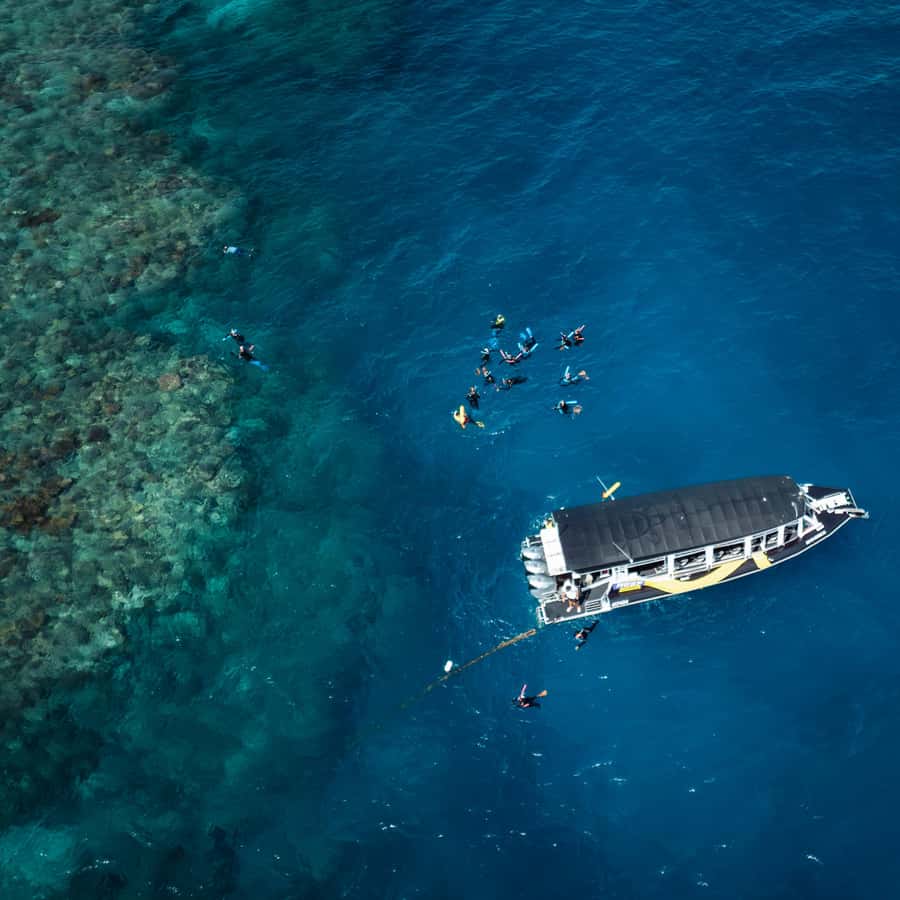 Cairns: Great Barrier Reef Half-Day Snorkelling Tour - A small group changes the reef experience
