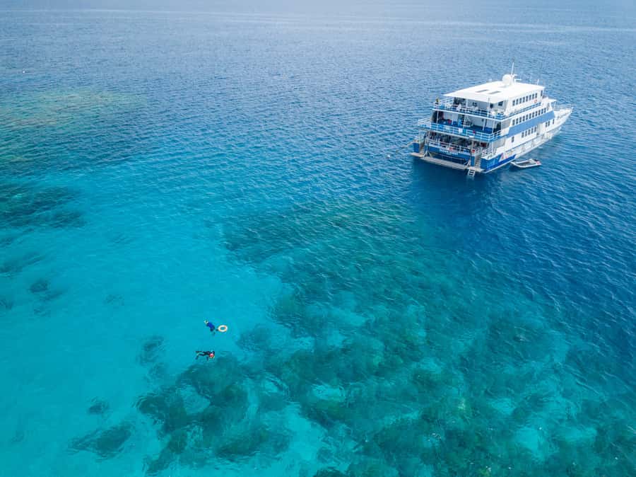 Cairns: Great Barrier Reef Overnight Snorkelling Boat Trip - Key points to know before booking