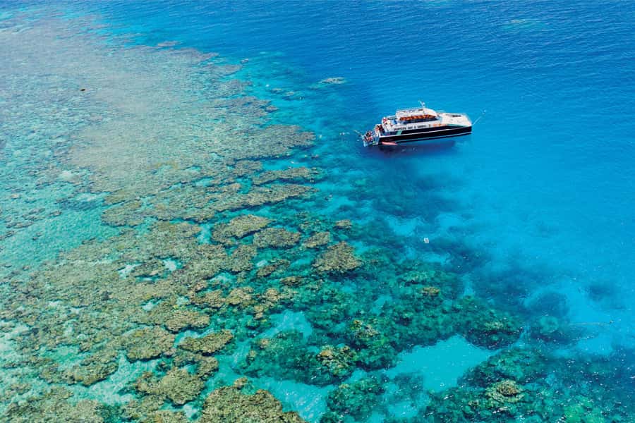 Cairns: Great Barrier Reef Premium Diving Full Day Tour - Setting out from Cairns Marlin Marina