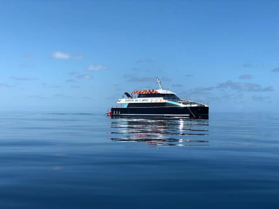 Cairns: Great Barrier Reef Premium Diving Full Day Tour - First outer reef site: a gentle introduction