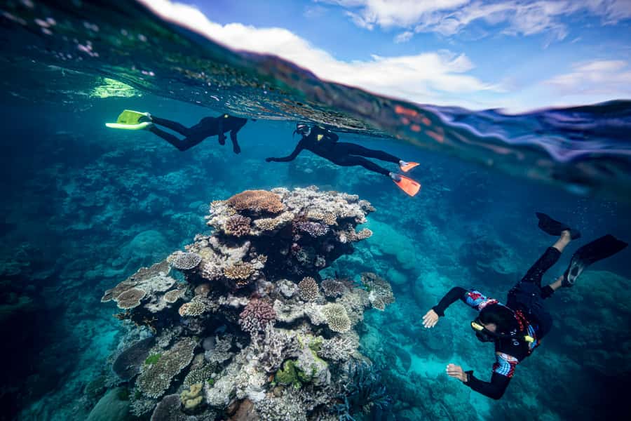 Cairns: Great Barrier Reef Premium Diving Full Day Tour - Lunch, tea, and time to reset