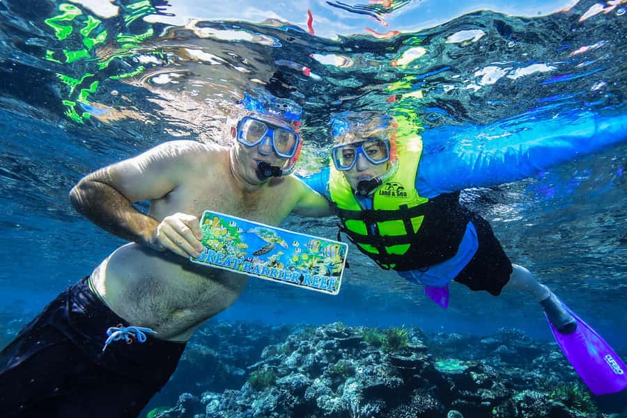 Cairns: Great Barrier Reef Premium Diving Full Day Tour - Marine science, safety, and the crew