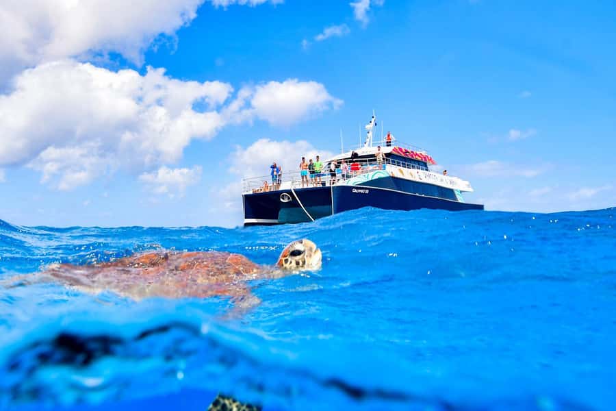Cairns: Great Barrier Reef Premium Diving Full Day Tour - How the $127 price measures up