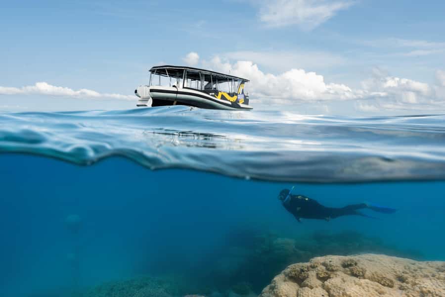 Cairns: Great Barrier Reef Small Group Snorkelling Tour - Key points at a glance