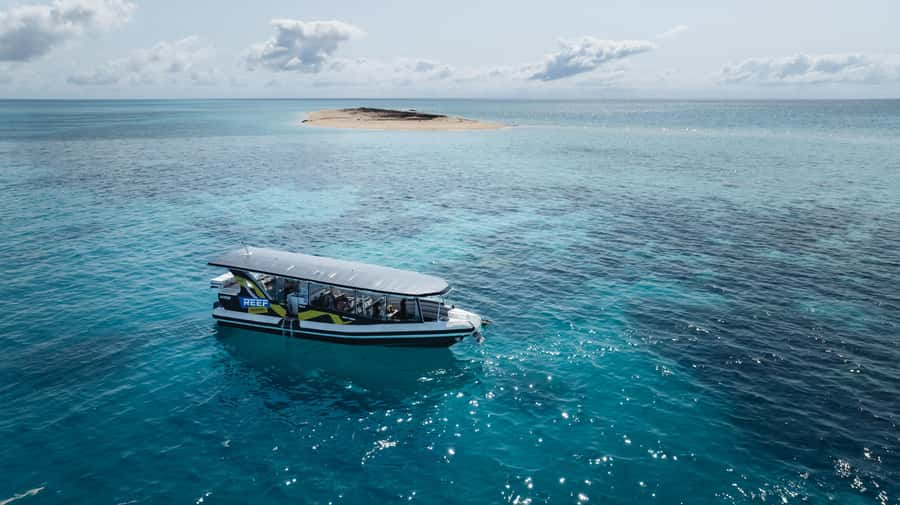 Cairns: Great Barrier Reef Small Group Snorkelling Tour - Equipment, stinger suits, and water comfort