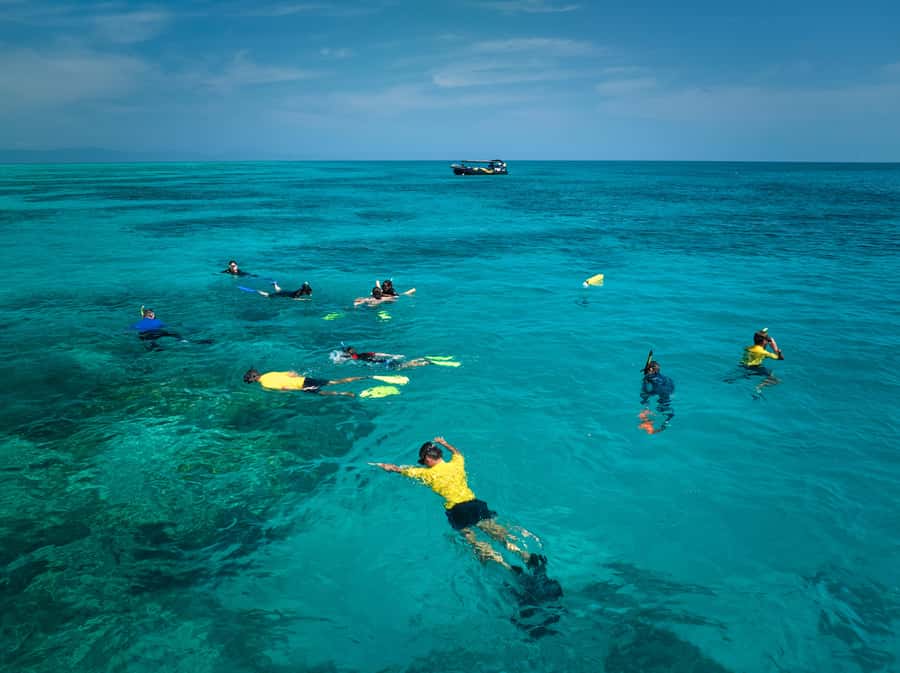 Cairns: Great Barrier Reef Small Group Snorkelling Tour - Lunch and snacks on the boat