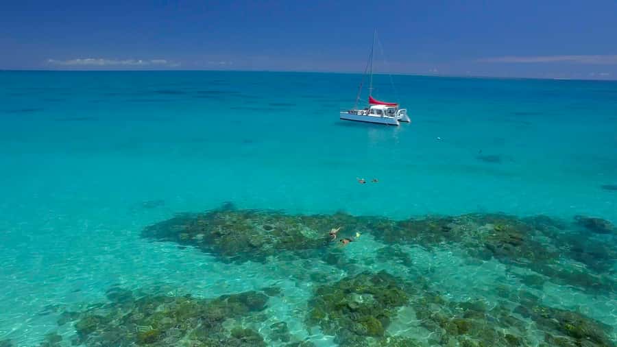 Cairns: Great Barrier Reef Snorkeling Tour with Lunch - Key points to know before booking
