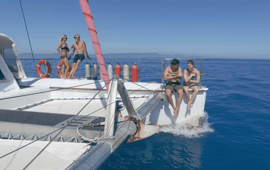 Cairns: Great Barrier Reef Snorkeling Tour with Lunch - Setting out from Cairns at 7:45am