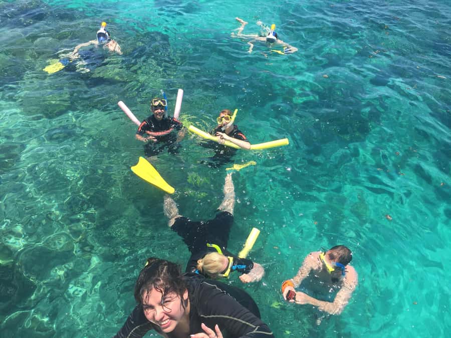 Cairns: Great Barrier Reef Snorkeling Tour with Lunch - Who will enjoy this reef trip most?