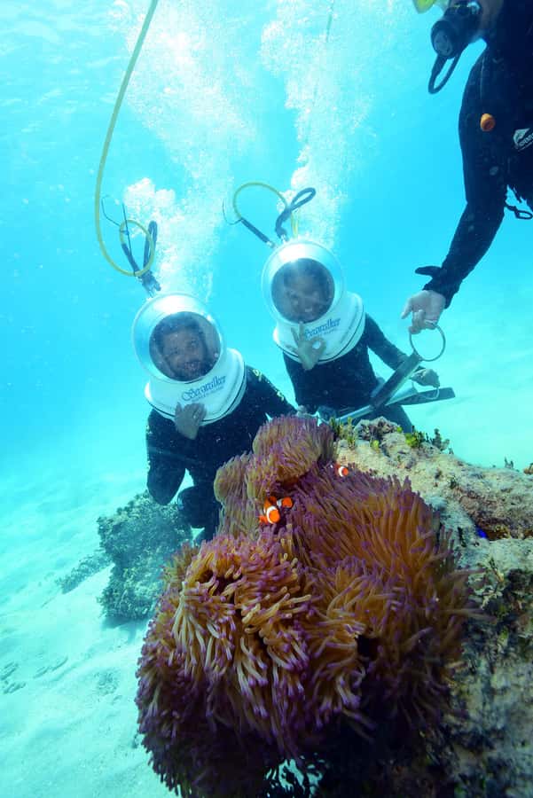 Cairns: Green Island and Seawalker Helmet Dive Combo - Key points before you book