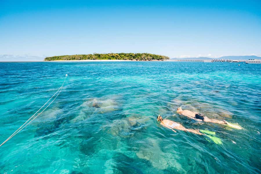 Cairns: Green Island and Seawalker Helmet Dive Combo - From Cairns to Green Island by catamaran